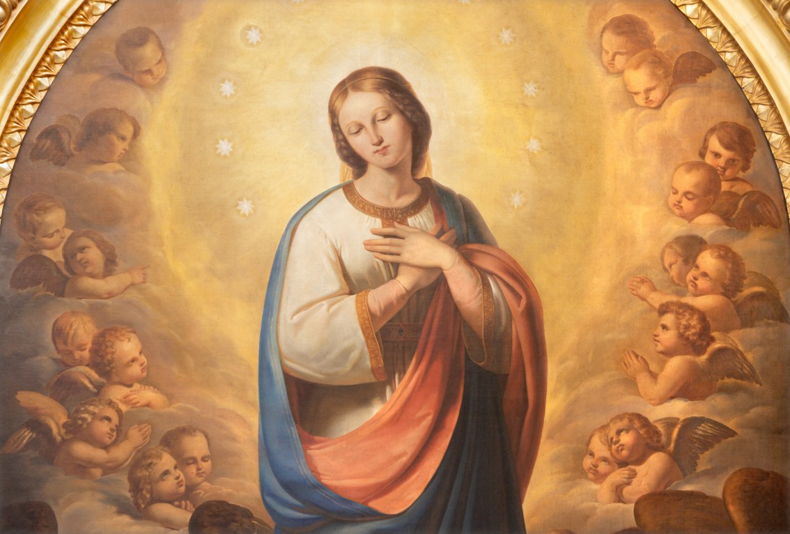 Homily for the Solemnity of the Immaculate&nbsp;Conception