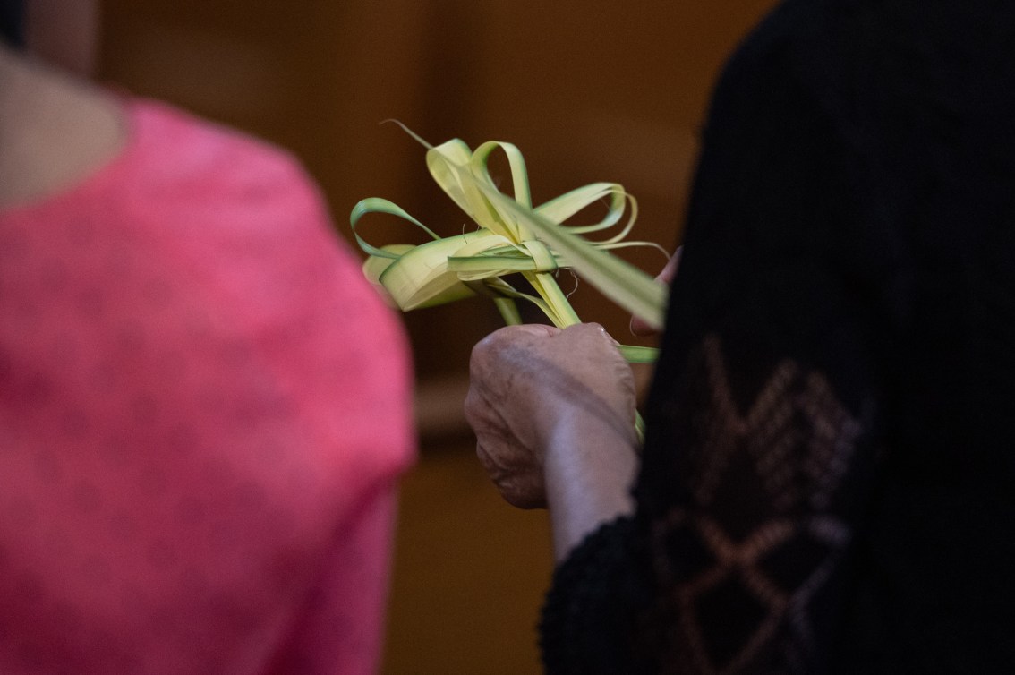 Homily for Palm&nbsp;Sunday